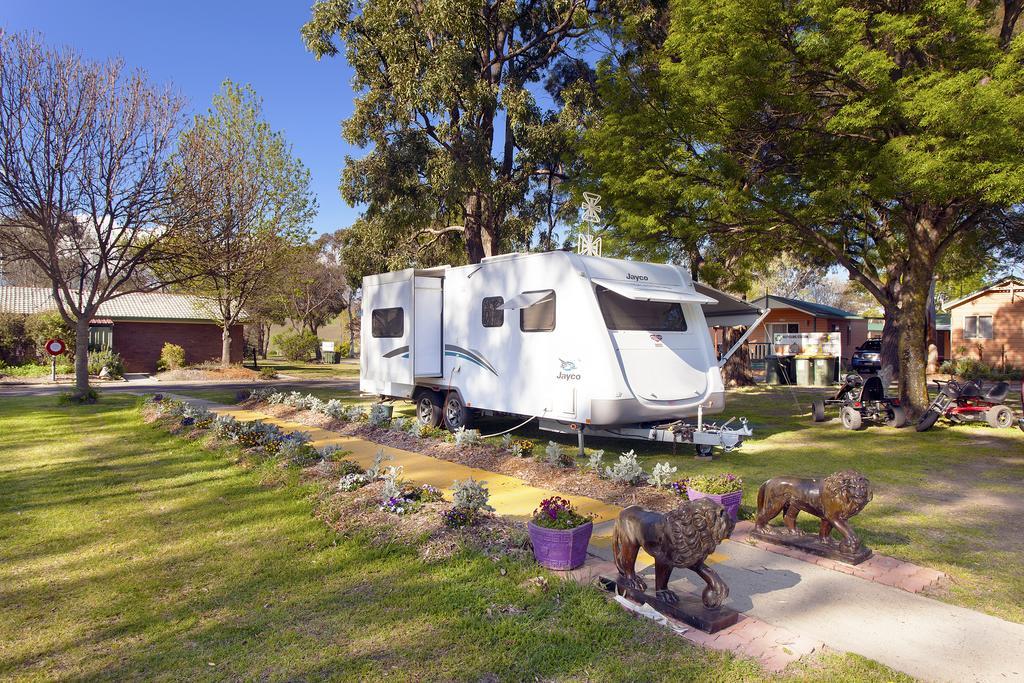 Armidale Tourist Park Hotell Exteriör bild