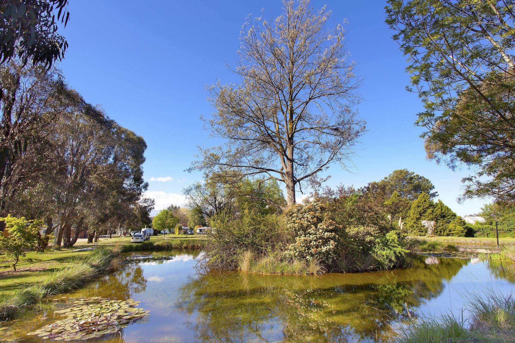 Armidale Tourist Park Hotell Exteriör bild
